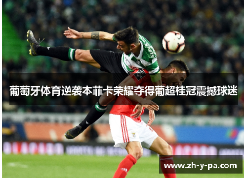葡萄牙体育逆袭本菲卡荣耀夺得葡超桂冠震撼球迷 葡萄牙体育逆袭本菲卡荣耀夺得葡超桂冠震撼球迷